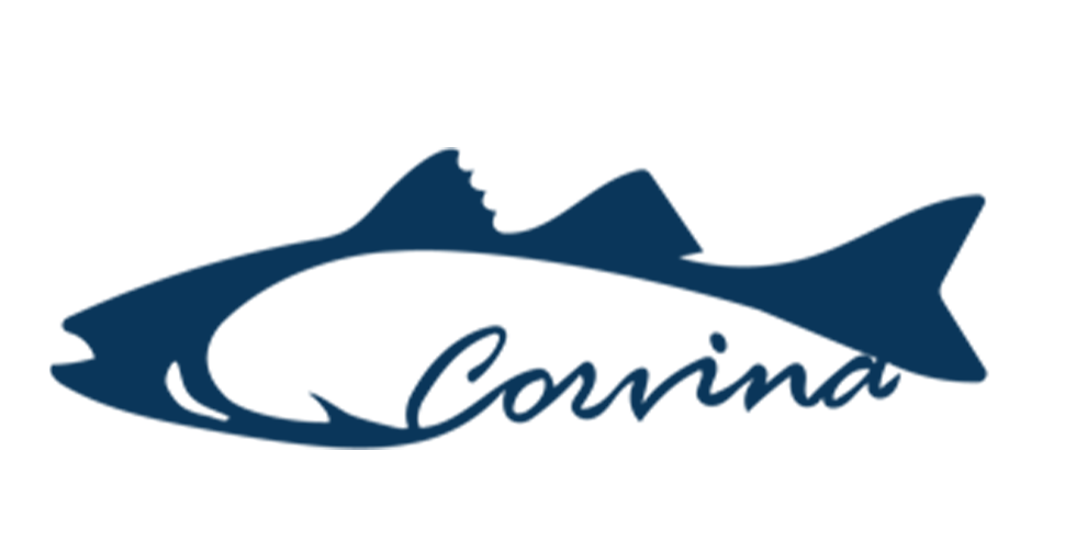 corvina2